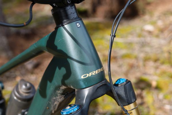 Orbea Wild M-LTD