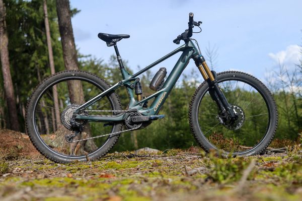 Orbea Wild M-LTD