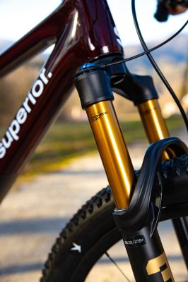 Superioru XF Team Fox