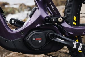 Ibis Oso TR