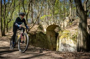 Wilier Rave SLR ID2