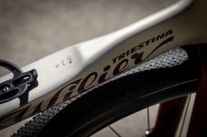 Wilier Rave SLR ID2