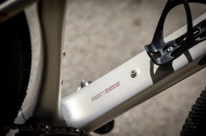 Wilier Rave SLR ID2