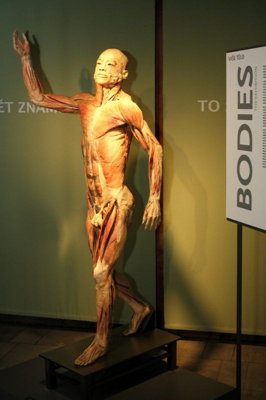 Výstava Bodies 2007 - Lucerna Praha